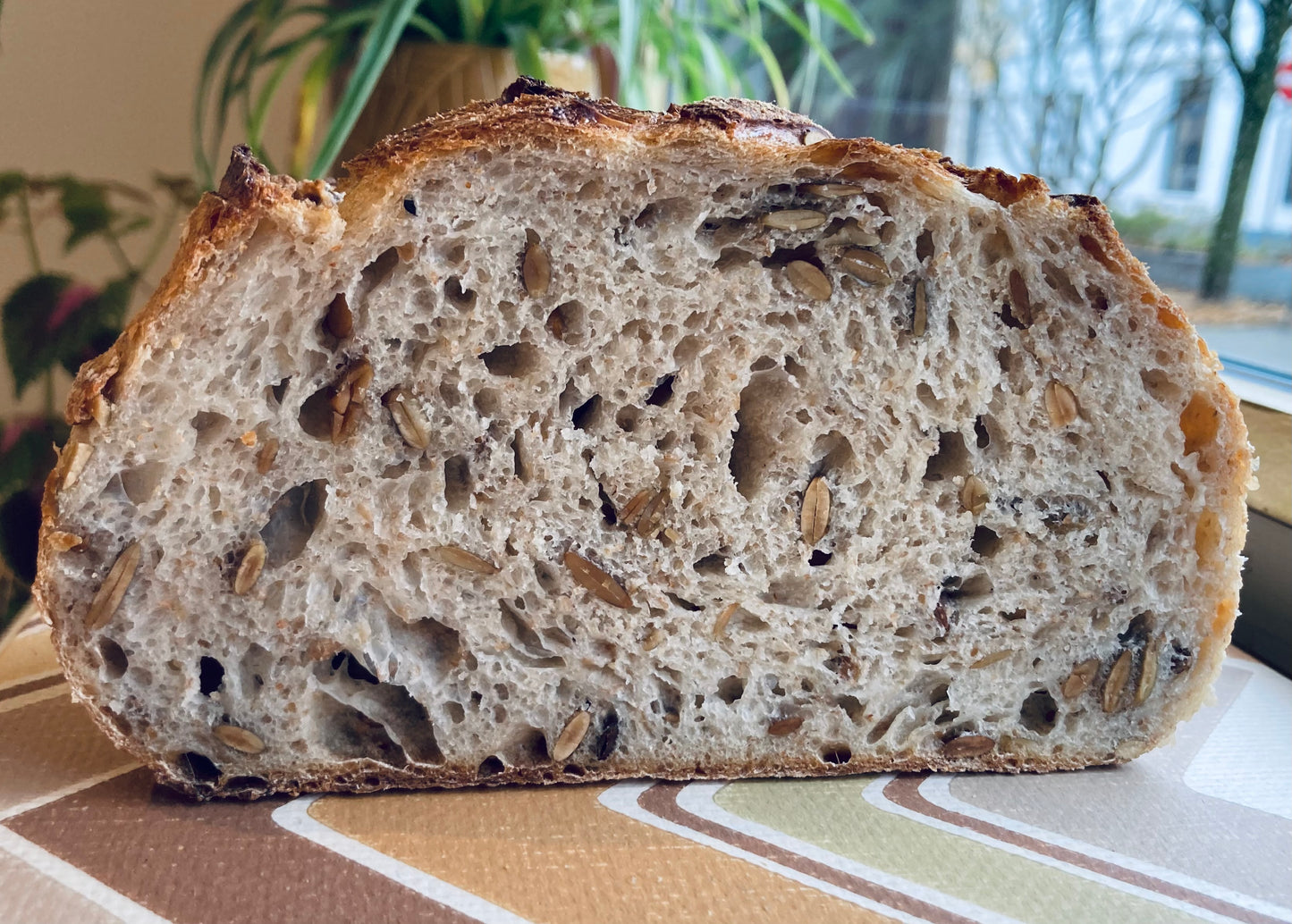 tarwe + pompoenpitten*